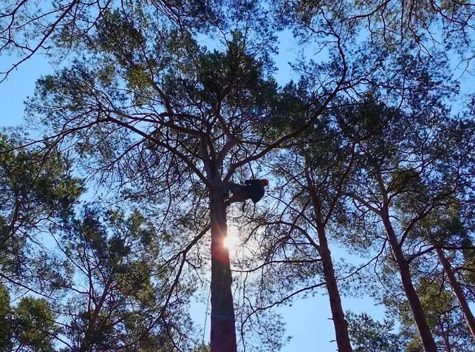 Lesniczowka-wdzydze Pe El